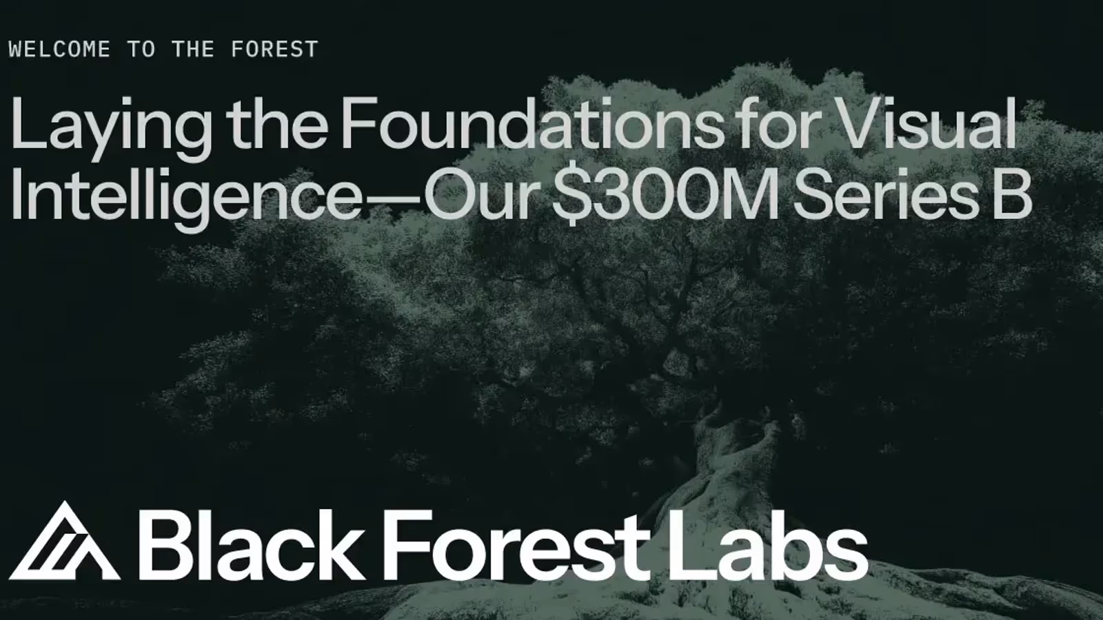 Black Forest Labs capta US$ 300M em Série B de US$ 3,25 bi